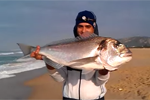 buyuk-cipura-avi-nasıl-yapilir-20141014