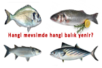 hangi-mevsimde-hangi-balik-yenir-20141122