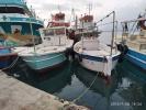 İskenderun Arsuz Kiralık Tekne ve Balık Avı Turları